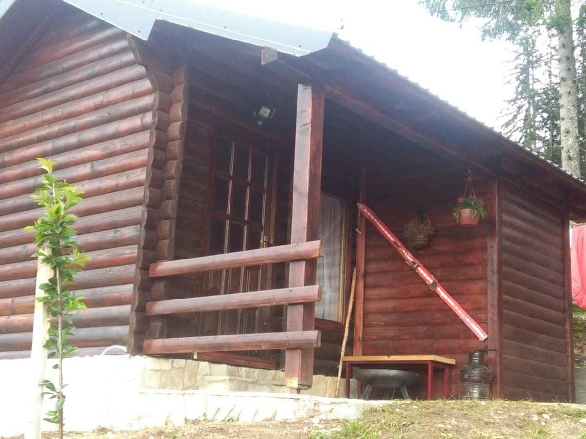 Шале Cozy Cabin Жабляк-4